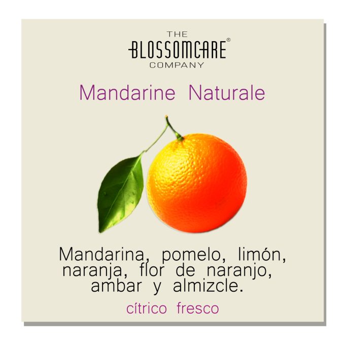 LAYERING, CREA TU PERFUME