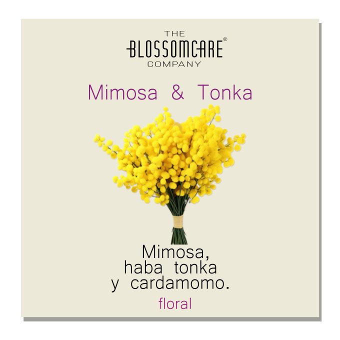 LAYERING, CREA TU PERFUME