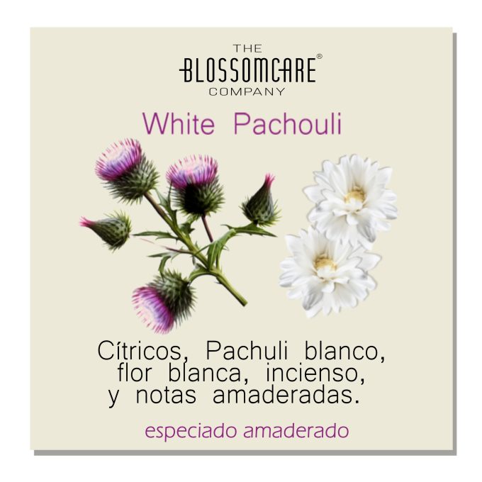 LAYERING, CREA TU PERFUME