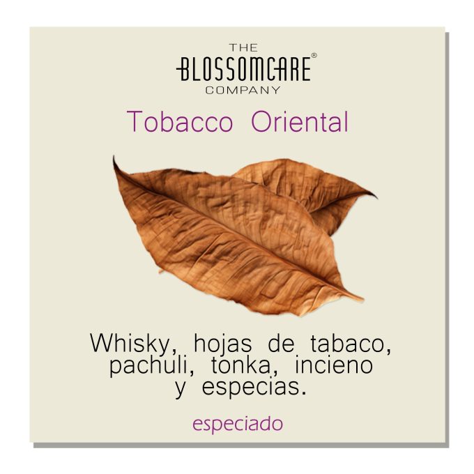 LAYERING, CREA TU PERFUME