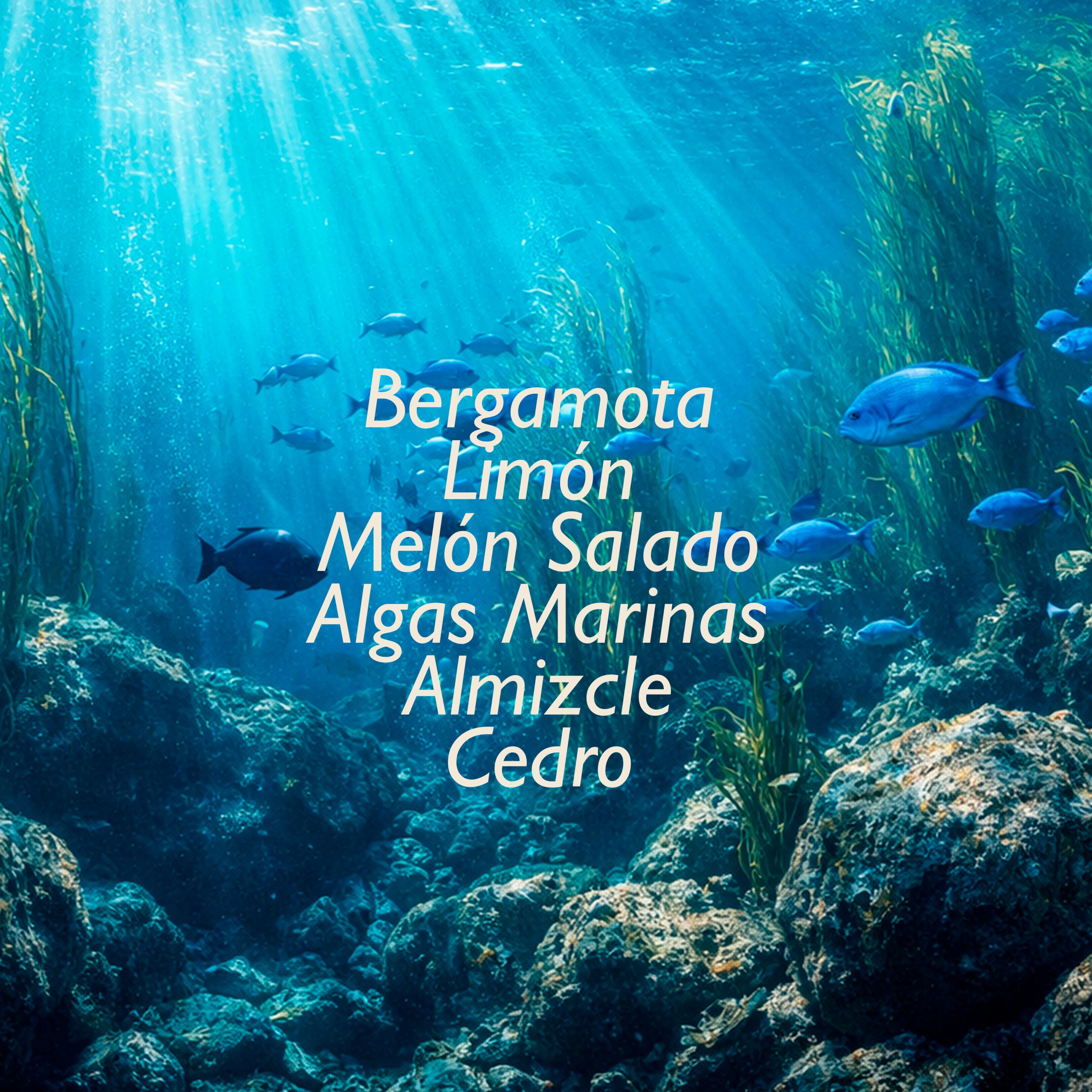 SEAWEED & BERGAMOT REED DIFFUSER 200 ML. - Imagen 3