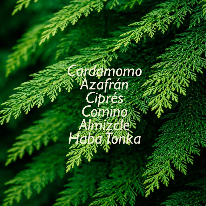 CYPRES & CARDAMOM REFILL 200 ML.