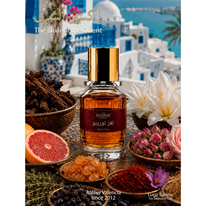 ARABIC EXTRACT (THE ENIGMA OF TURIN)