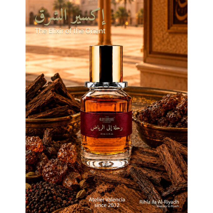 ARABIC EXTRACT (JOURNEY OF RIYARH)