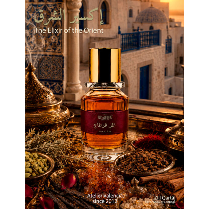 ARABIC EXTRACT (THE SHADOW OF CARTHAGE)